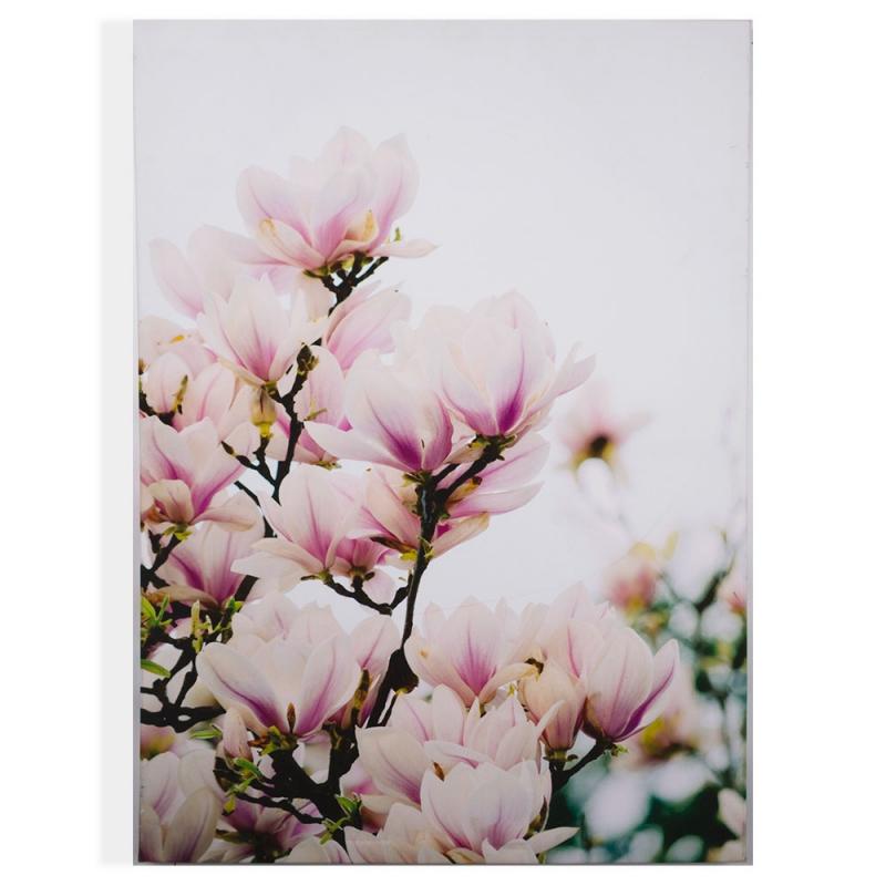 Keret nélküli kép - vászonnyomtatás - Magnolia Blossoms 104570, Wall Art, Graham Brown