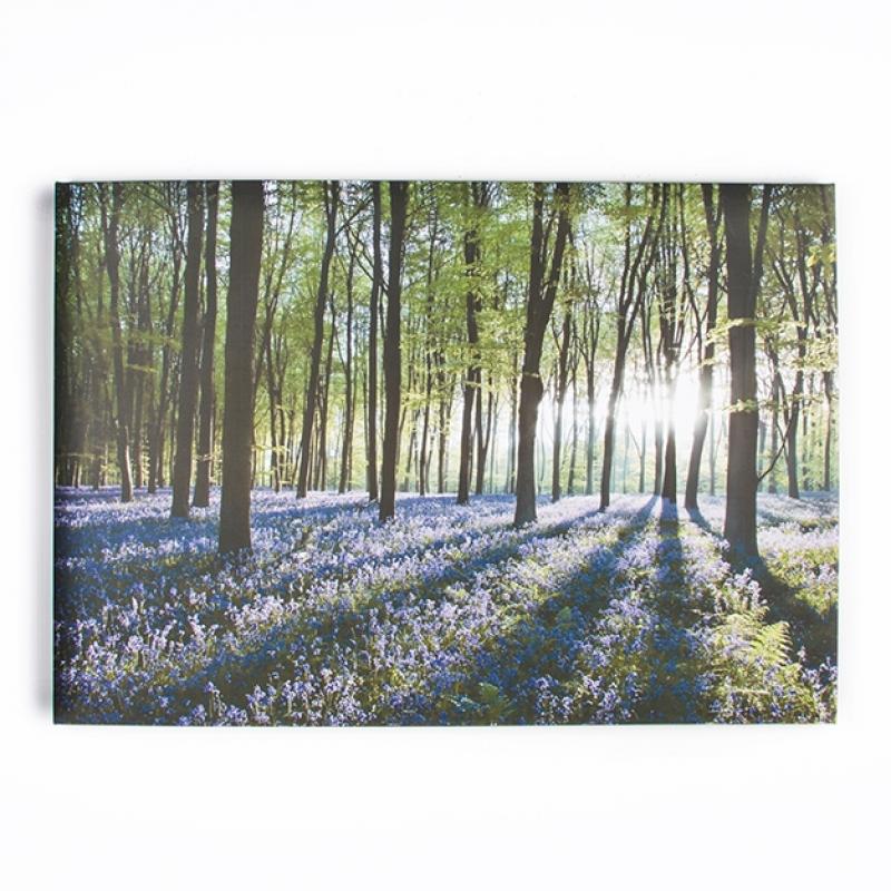 _Keret nélküli kép - vászonnyomtás - 40-247, Bluebell Landscape, Wall Art, Graham Brown