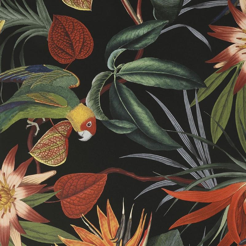 Luxus vlies tapéta 108602, Parrot Black, Paradise, Graham & Brown